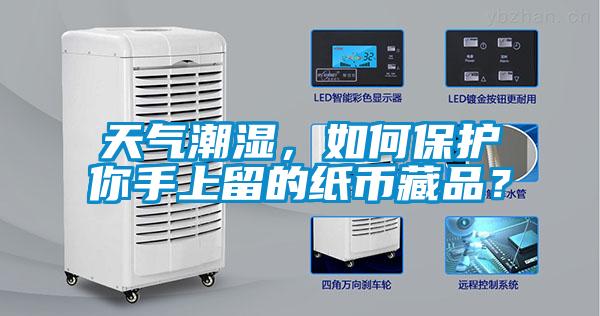 天氣潮濕，如何保護(hù)你手上留的紙幣藏品？