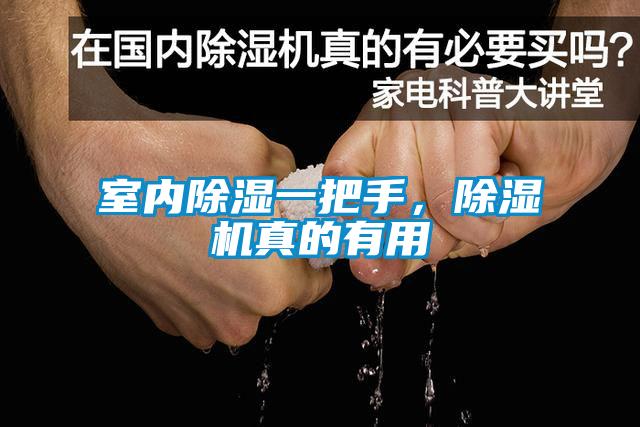 室內(nèi)除濕一把手，除濕機(jī)真的有用