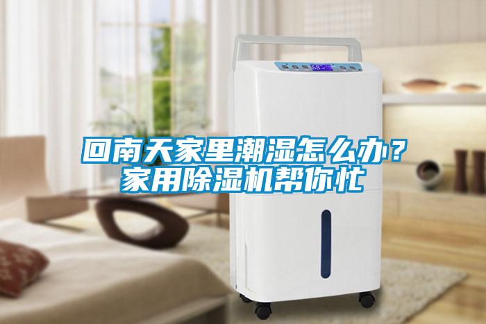回南天家里潮濕怎么辦？家用除濕機幫你忙