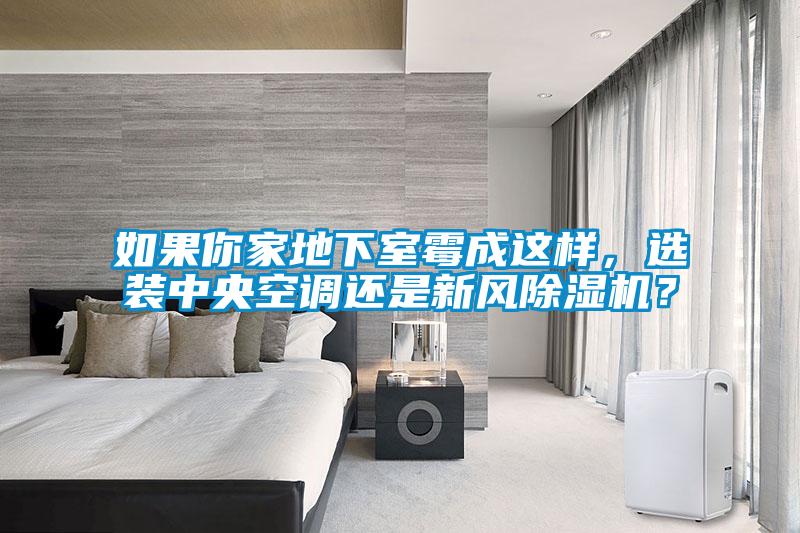 如果你家地下室霉成這樣，選裝中央空調(diào)還是新風(fēng)除濕機(jī)？