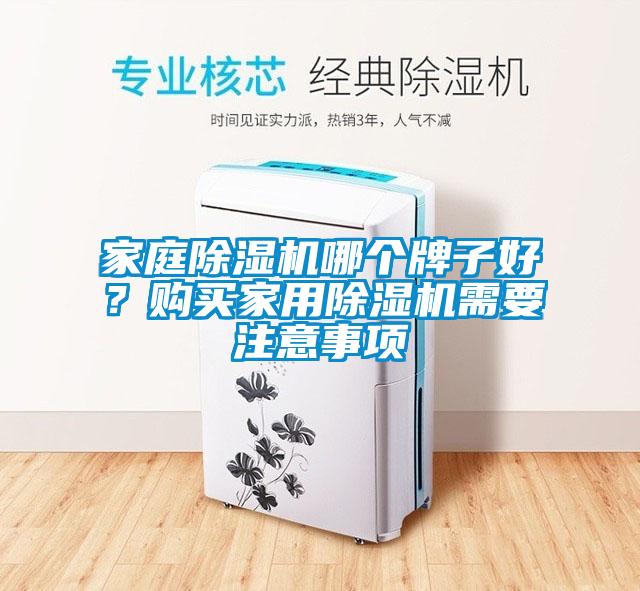 家庭除濕機(jī)哪個(gè)牌子好？購(gòu)買家用除濕機(jī)需要注意事項(xiàng)