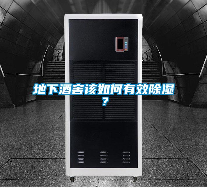 地下酒窖該如何有效除濕？