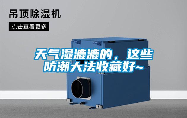 天氣濕漉漉的，這些防潮大法收藏好~