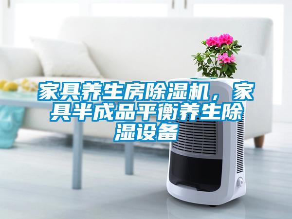家具養(yǎng)生房除濕機(jī)，家具半成品平衡養(yǎng)生除濕設(shè)備