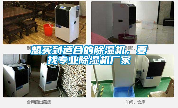 想買到適合的除濕機，要找專業(yè)除濕機廠家