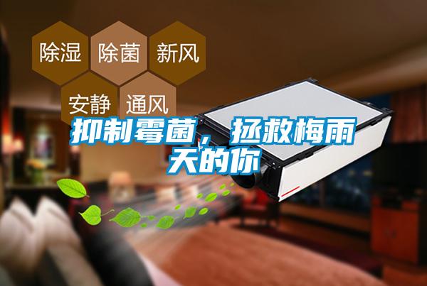 抑制霉菌，拯救梅雨天的你
