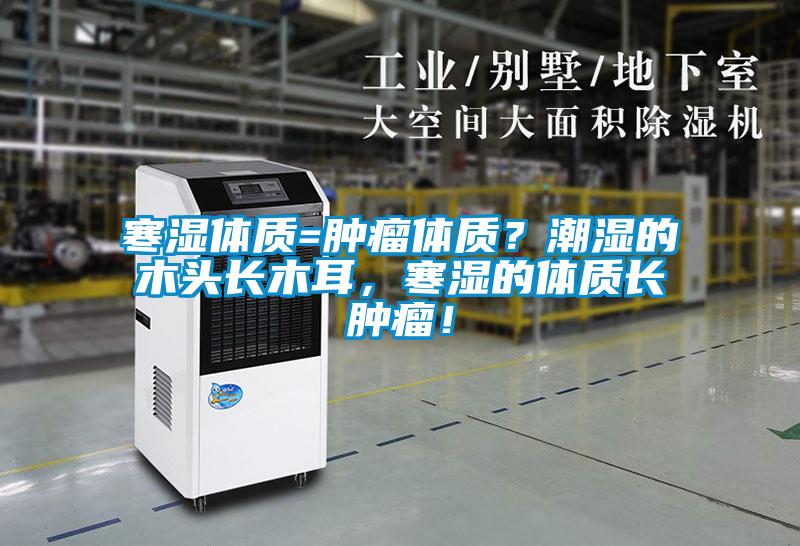 寒濕體質=腫瘤體質？潮濕的木頭長木耳，寒濕的體質長腫瘤！