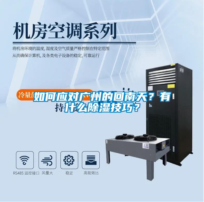 如何應(yīng)對廣州的回南天？有什么除濕技巧？