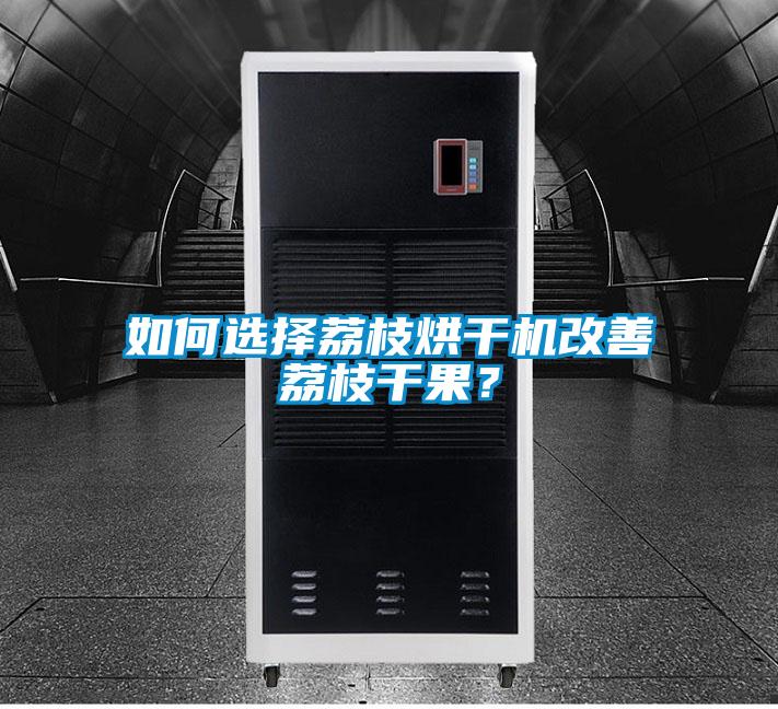 如何選擇荔枝烘干機(jī)改善荔枝干果？