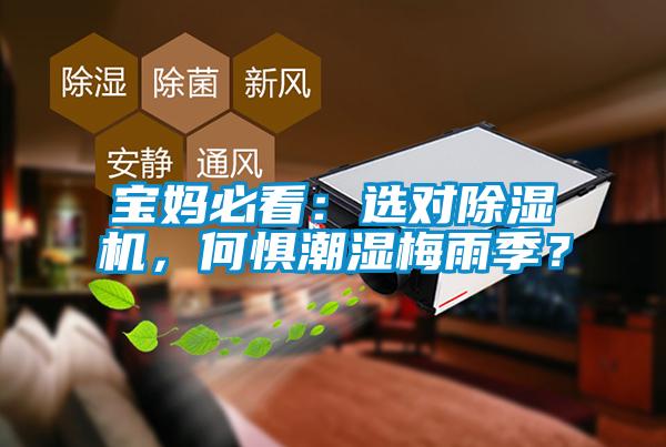 寶媽必看：選對(duì)除濕機(jī)，何懼潮濕梅雨季？