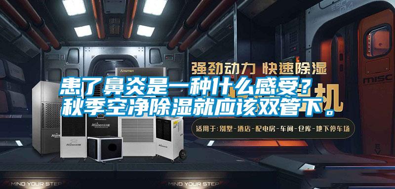 患了鼻炎是一種什么感受？ 秋季空凈除濕就應(yīng)該雙管下。