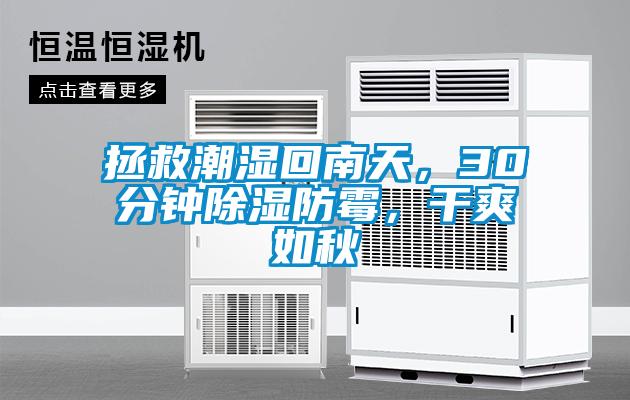 拯救潮濕回南天，30分鐘除濕防霉，干爽如秋