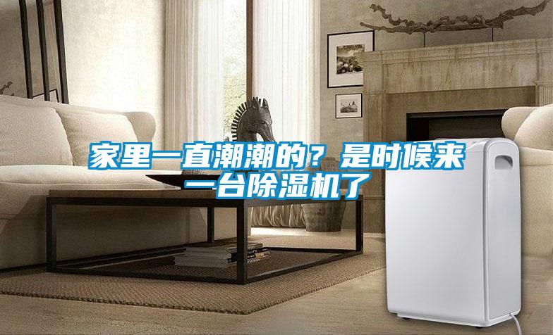 家里一直潮潮的？是時候來一臺除濕機了
