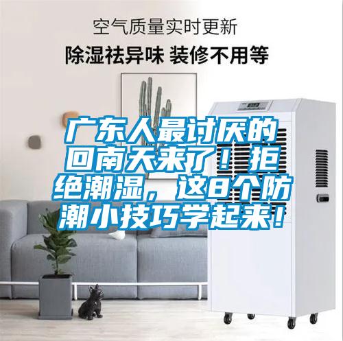 廣東人最討厭的回南天來了！拒絕潮濕，這8個防潮小技巧學(xué)起來！
