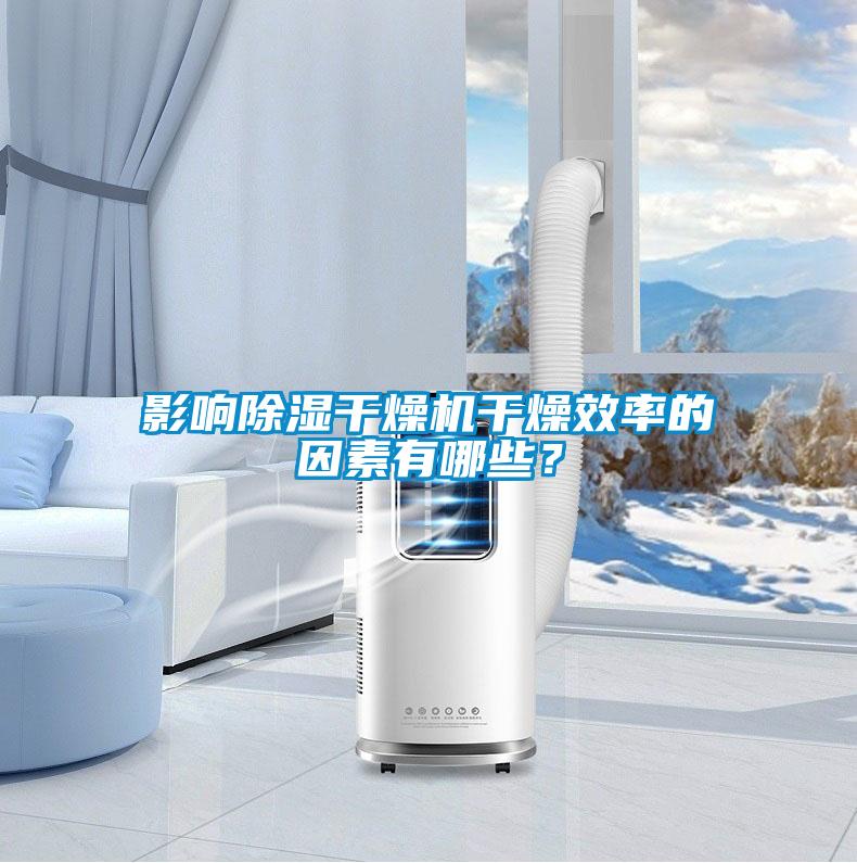 影響除濕干燥機(jī)干燥效率的因素有哪些？