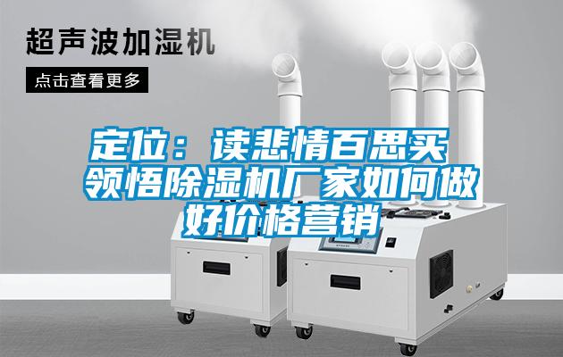 定位：讀悲情百思買(mǎi) 領(lǐng)悟除濕機(jī)廠家如何做好價(jià)格營(yíng)銷(xiāo)