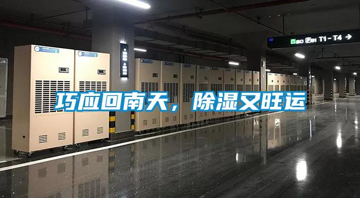 巧應(yīng)回南天，除濕又旺運(yùn)
