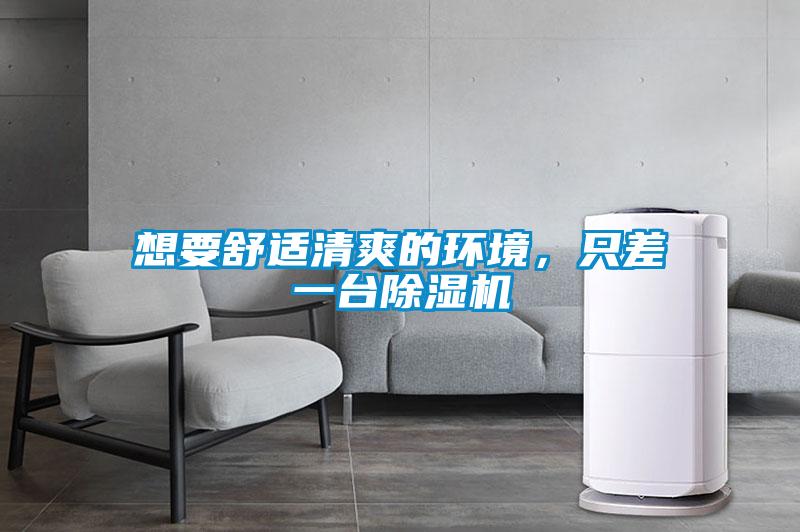 想要舒適清爽的環(huán)境，只差一臺(tái)除濕機(jī)