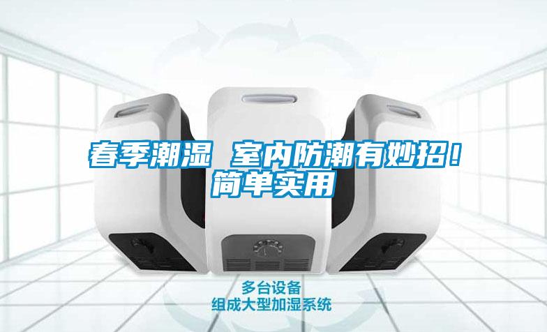 春季潮濕 室內(nèi)防潮有妙招！簡單實用