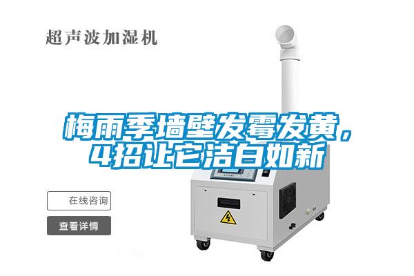 梅雨季墻壁發(fā)霉發(fā)黃，4招讓它潔白如新