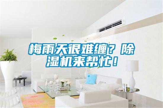 梅雨天很難纏？除濕機(jī)來幫忙！