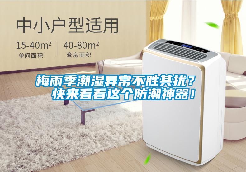 梅雨季潮濕異常不勝其擾？ 快來看看這個防潮神器！