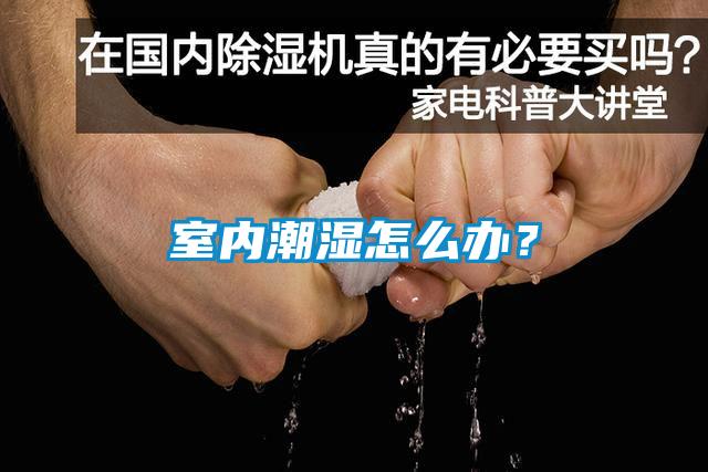 室內潮濕怎么辦？