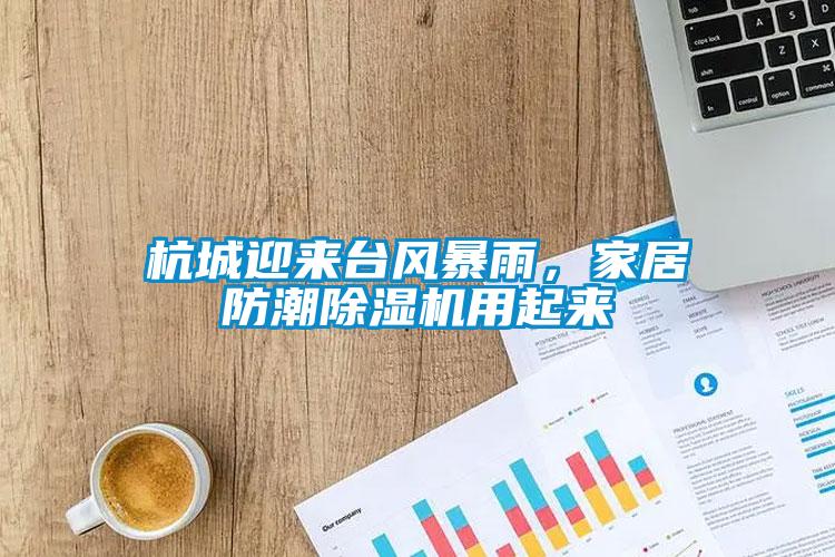 杭城迎來臺(tái)風(fēng)暴雨，家居防潮除濕機(jī)用起來