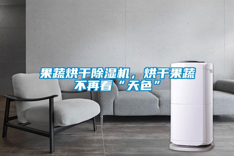 果蔬烘干除濕機(jī)，烘干果蔬不再看“天色”