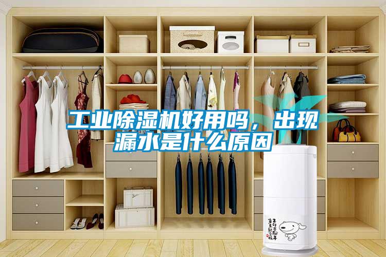 工業(yè)除濕機(jī)好用嗎，出現(xiàn)漏水是什么原因