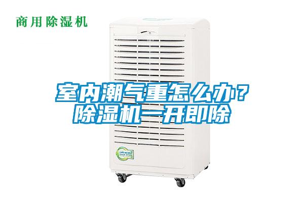 室內潮氣重怎么辦？除濕機一開即除