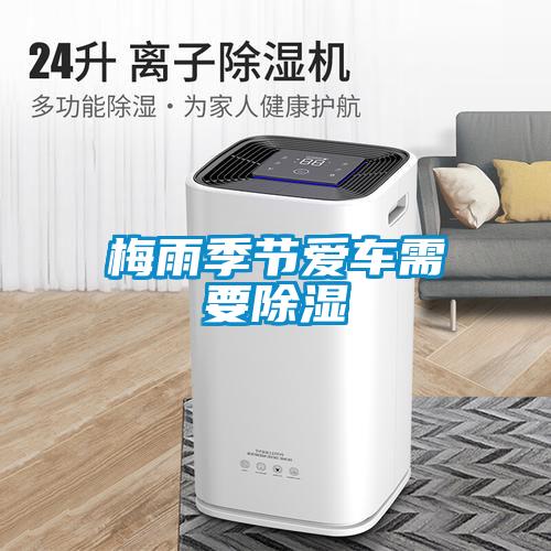 濕氣太重，大不如前！安詩曼除濕機還你健康好身體！