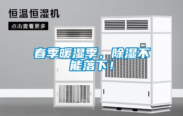 春季暖濕季，除濕不能落下！