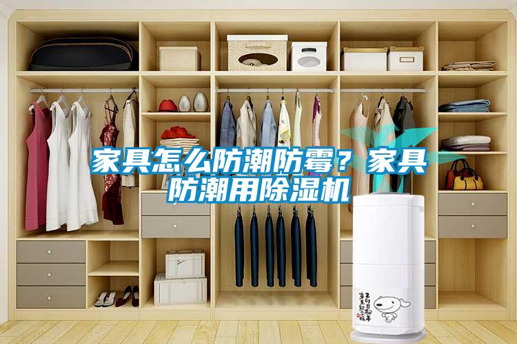 家具怎么防潮防霉？家具防潮用除濕機(jī)