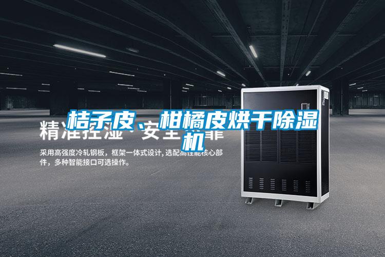 桔子皮、柑橘皮烘干除濕機(jī)