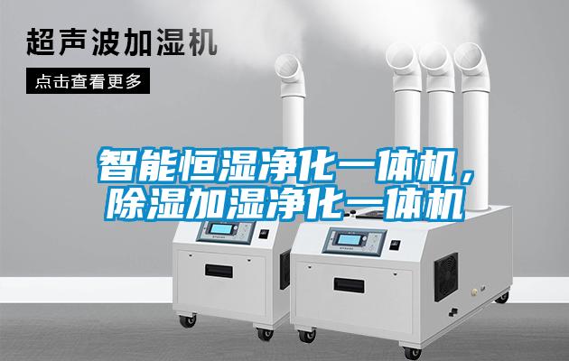 智能家用除濕機(jī)，低噪靜音家用智能除濕干衣機(jī)