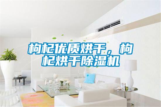 枸杞優(yōu)質(zhì)烘干，枸杞烘干除濕機