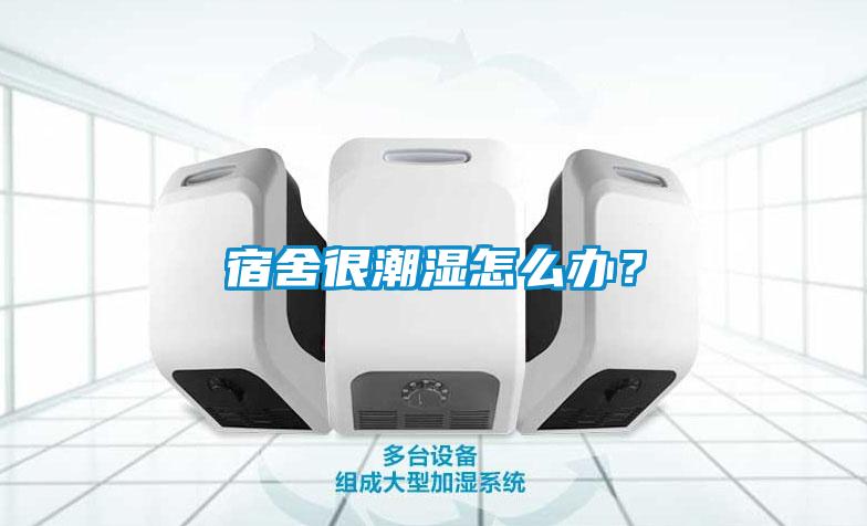 宿舍很潮濕怎么辦？