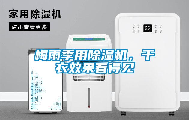 梅雨季用除濕機(jī)，干衣效果看得見