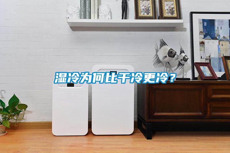 濕冷為何比干冷更冷？