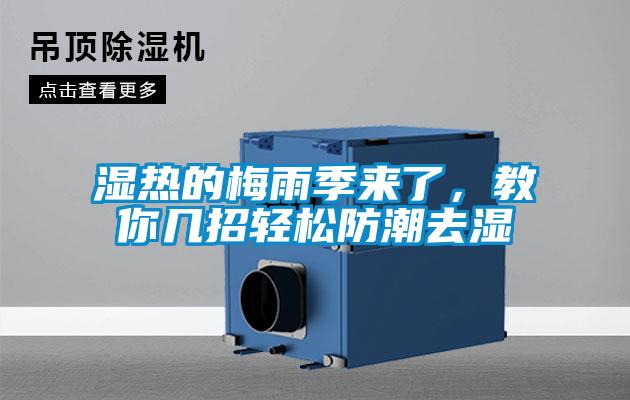 濕熱的梅雨季來了，教你幾招輕松防潮去濕