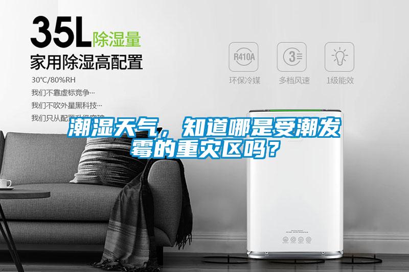 潮濕天氣，知道哪是受潮發(fā)霉的重災(zāi)區(qū)嗎？