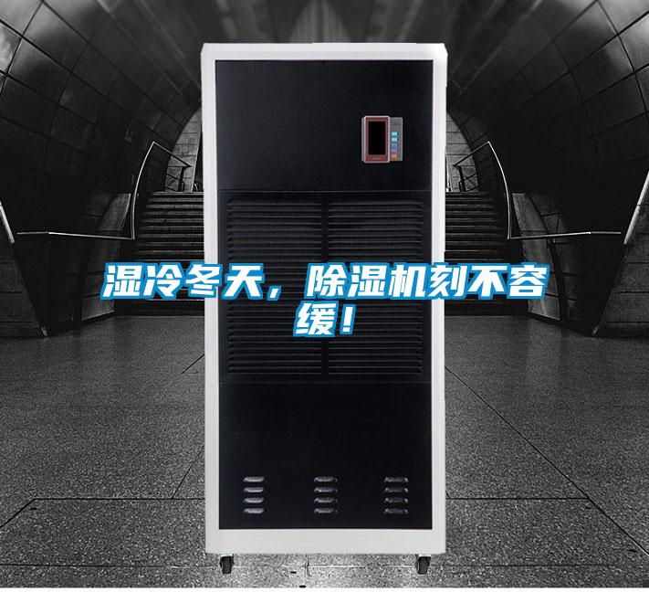 濕冷冬天，除濕機刻不容緩！