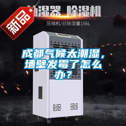 成都?xì)夂蛱睗?，墻壁發(fā)霉了怎么辦？