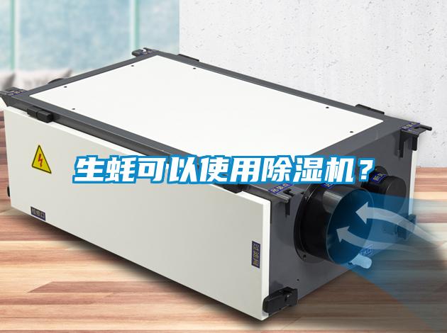 生蠔可以使用除濕機？