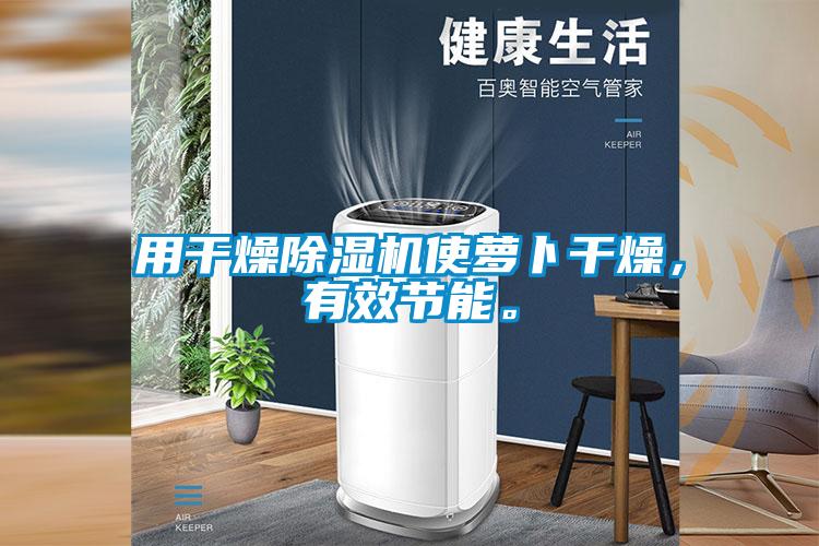 用干燥除濕機使蘿卜干燥，有效節(jié)能。