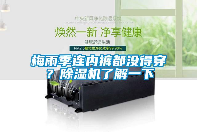 梅雨季連內(nèi)褲都沒(méi)得穿？除濕機(jī)了解一下