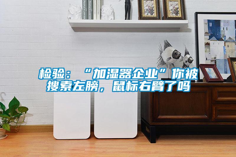 檢驗：“加濕器企業(yè)”你被搜索左膀，鼠標(biāo)右臂了嗎