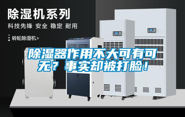 除濕器作用不大可有可無(wú)？事實(shí)卻被打臉！
