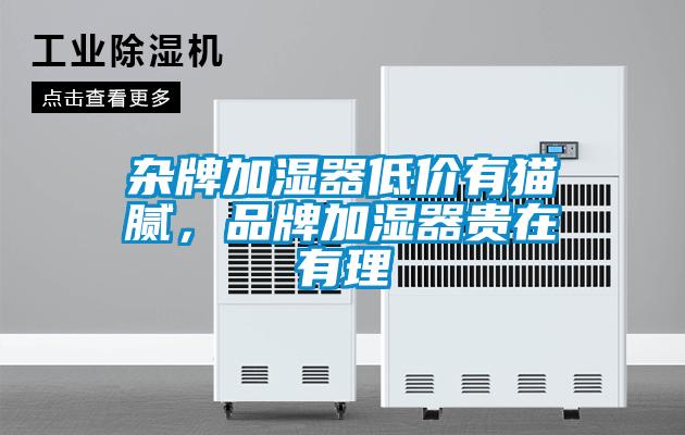 雜牌加濕器低價有貓膩，品牌加濕器貴在有理